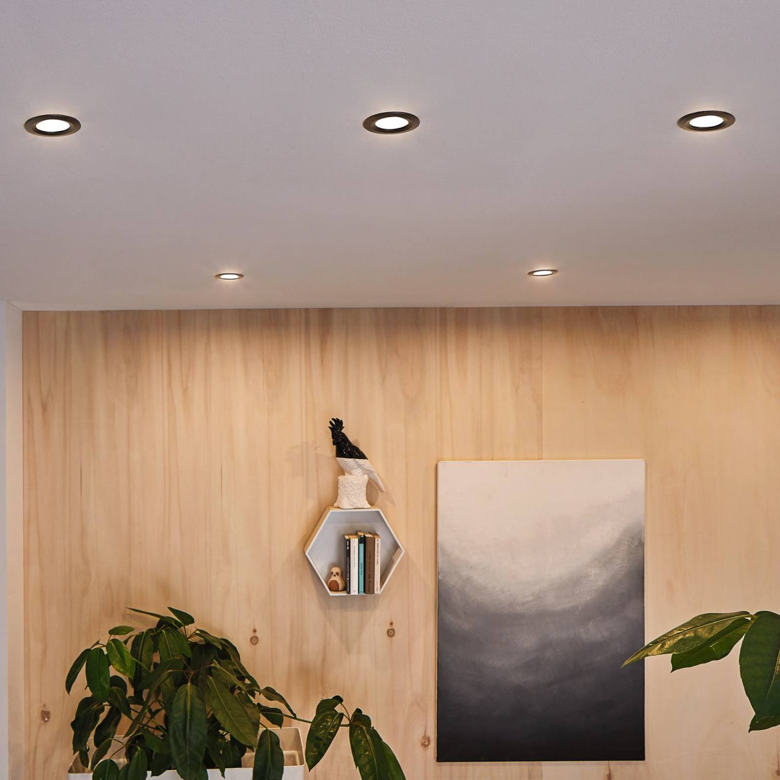 Paulmann LED-spot Nova Coin, set van 3, zwart, draaibaar, 2.700 K – Lampen24