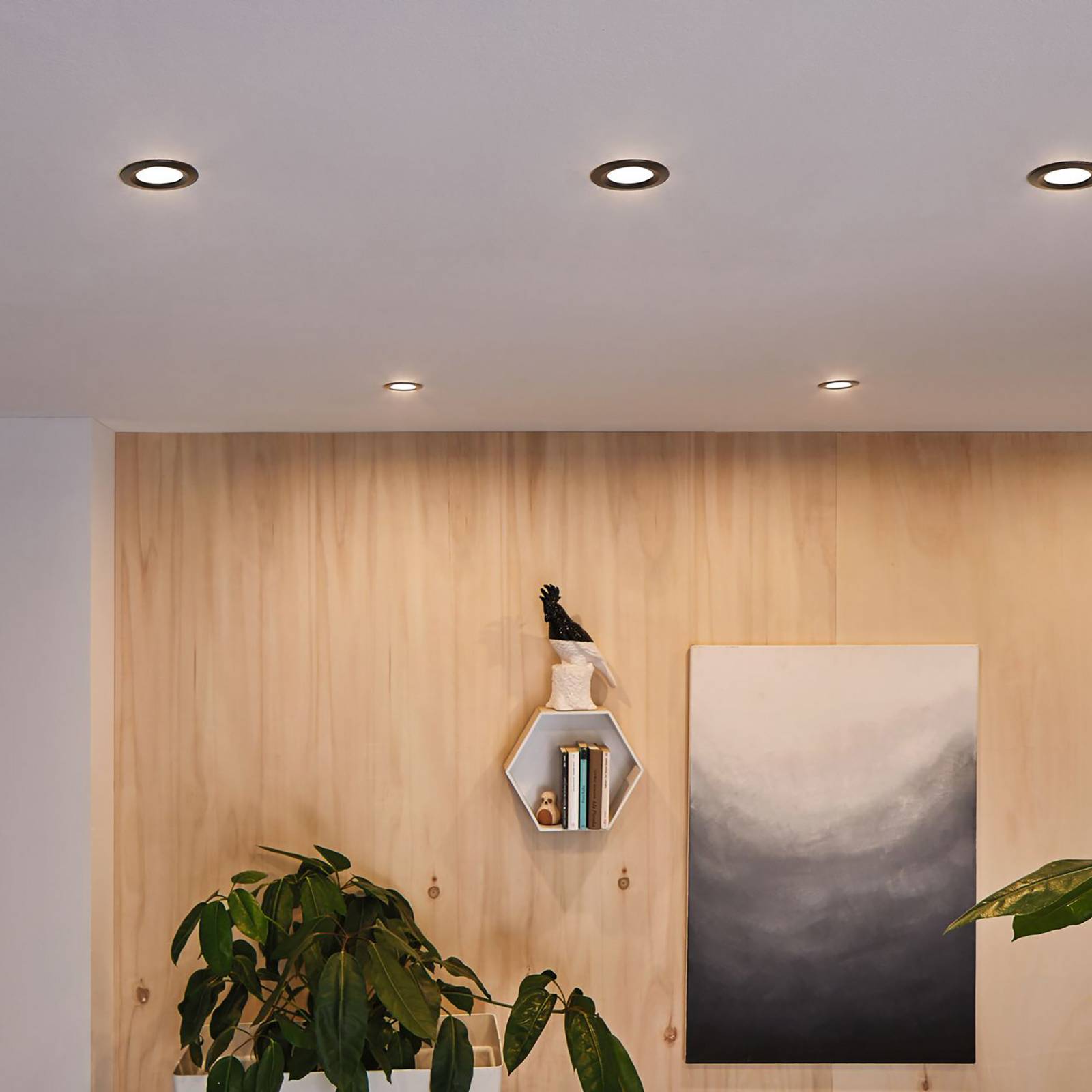 Paulmann LED-spot Nova Plus Coin, set van 3, rond, zwart, 2700 K, IP65 – Lampen24